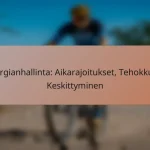 Energianhallinta: Aikarajoitukset, Tehokkuus, Keskittyminen