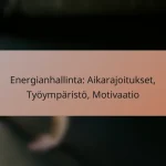 Energianhallinta: Aikarajoitukset, Työympäristö, Motivaatio