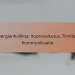 Energianhallinta: Vuorovaikutus, Tiimityö, Kommunikaatio